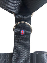 Load image into Gallery viewer, RIDGE, LARGE HARNESS