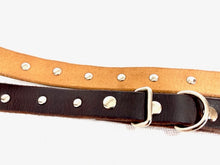 Load image into Gallery viewer, Rodney Rascal - Leather studded collar