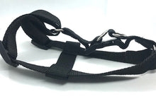 Load image into Gallery viewer, FLO Dog harness