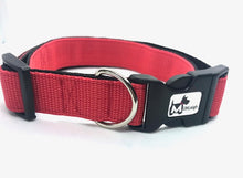 Load image into Gallery viewer, Tilly - Collars
